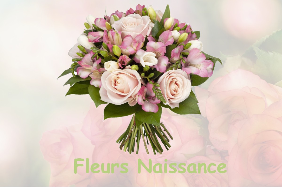 fleurs naissance HUEZ