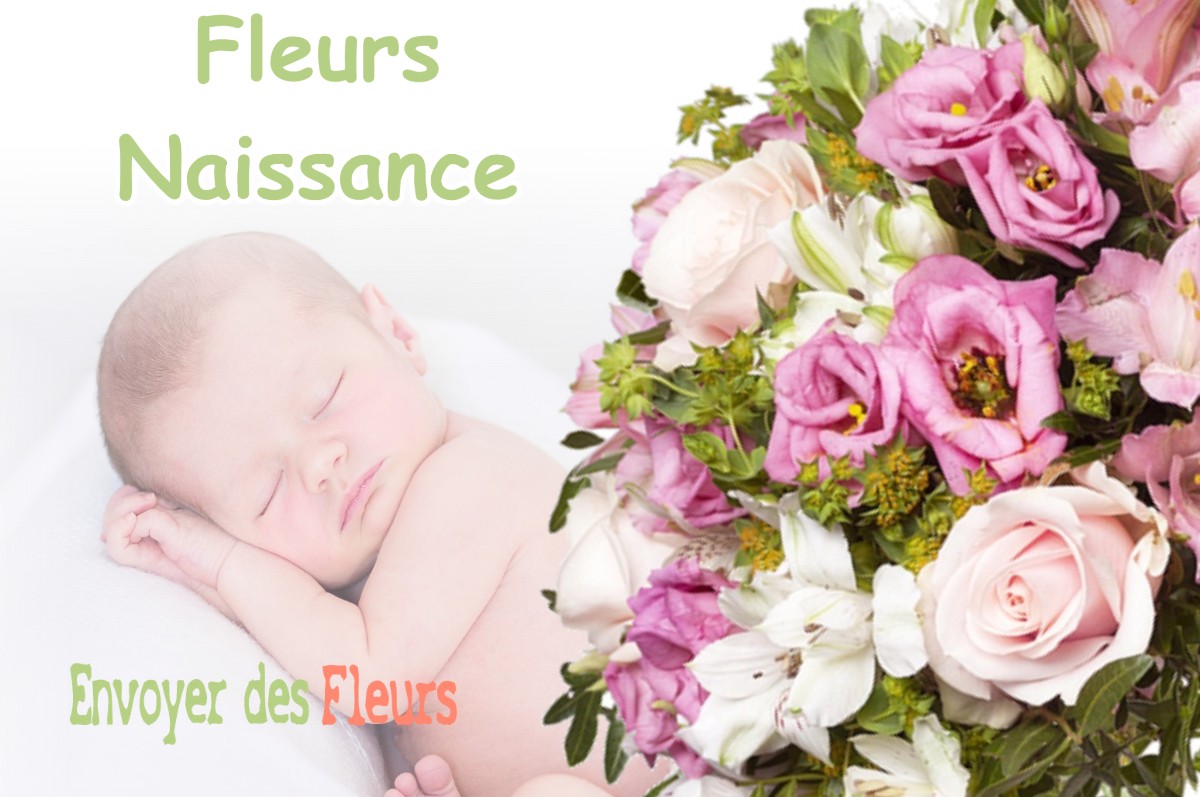 lIVRAISON FLEURS NAISSANCE à HUEZ